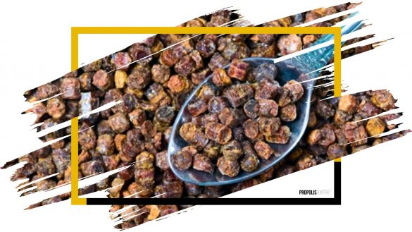 ROYAL JELLY AND CARDIOVASCULAR HEALTH