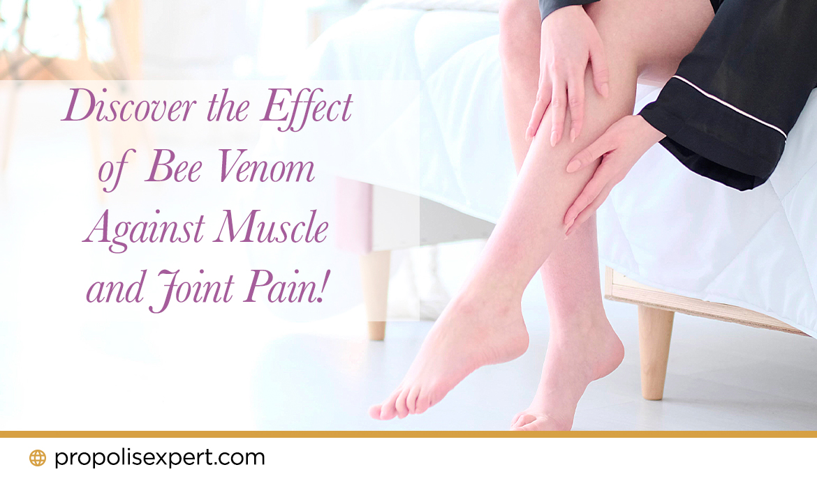 DISCOVER THE EFFECT OF BEE VENOM AGAINST MUSCLE AND JOINT PAIN!